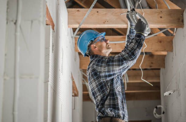 Best Electric Panel Repair  in Brillion, WI